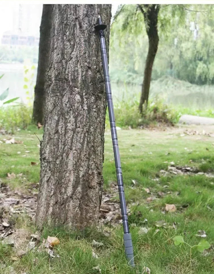Walking or Hiking Stick
