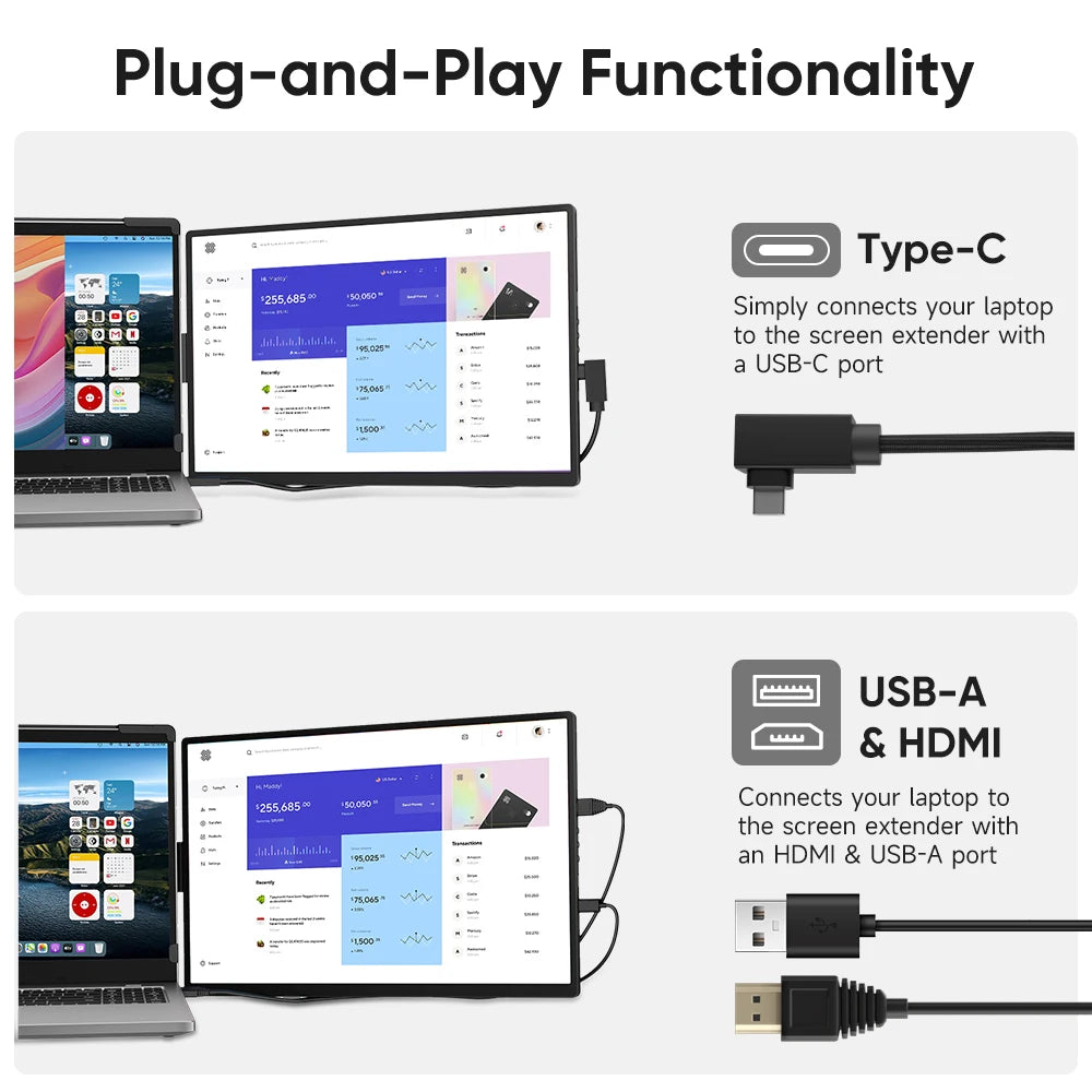 Single or Dual Monitor Extender
