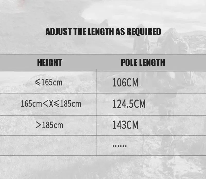 Walking or Hiking Stick