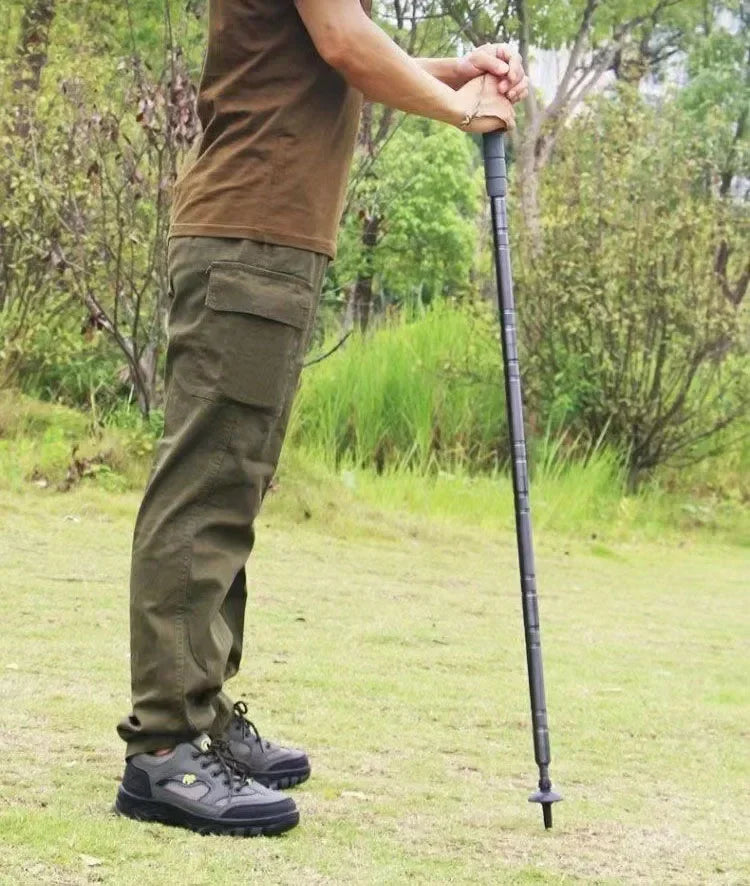Walking or Hiking Stick