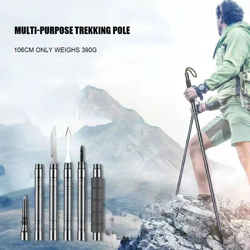 Walking or Hiking Stick