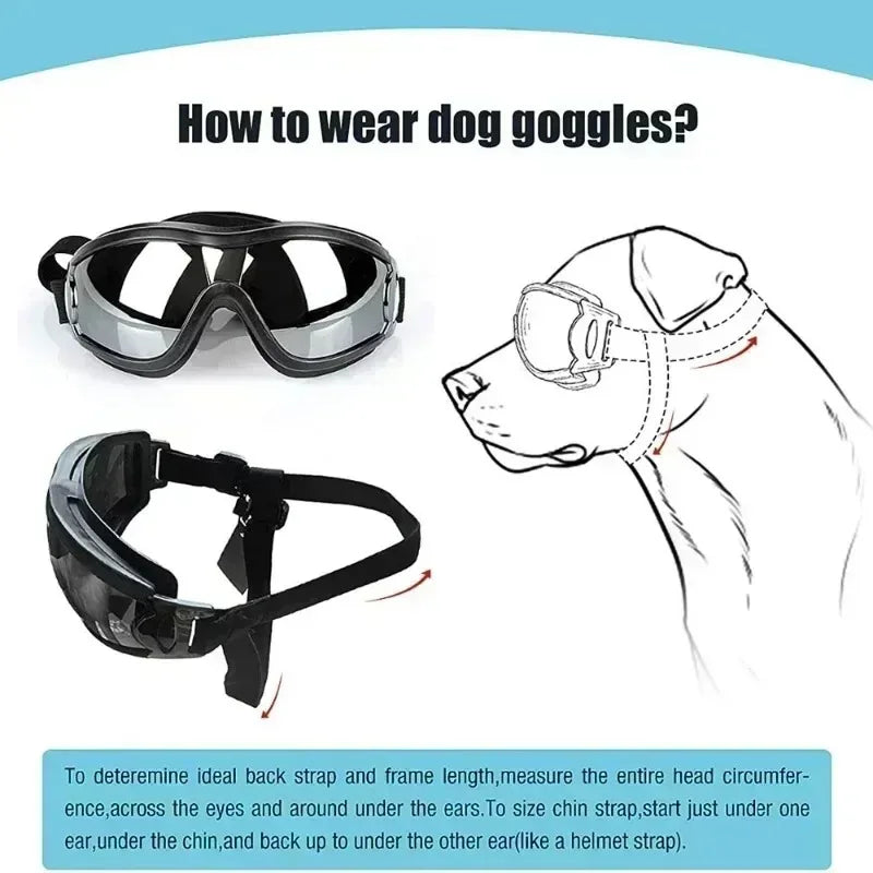 Dog Goggles and Sun Glasses