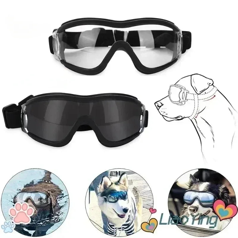 Dog Goggles and Sun Glasses