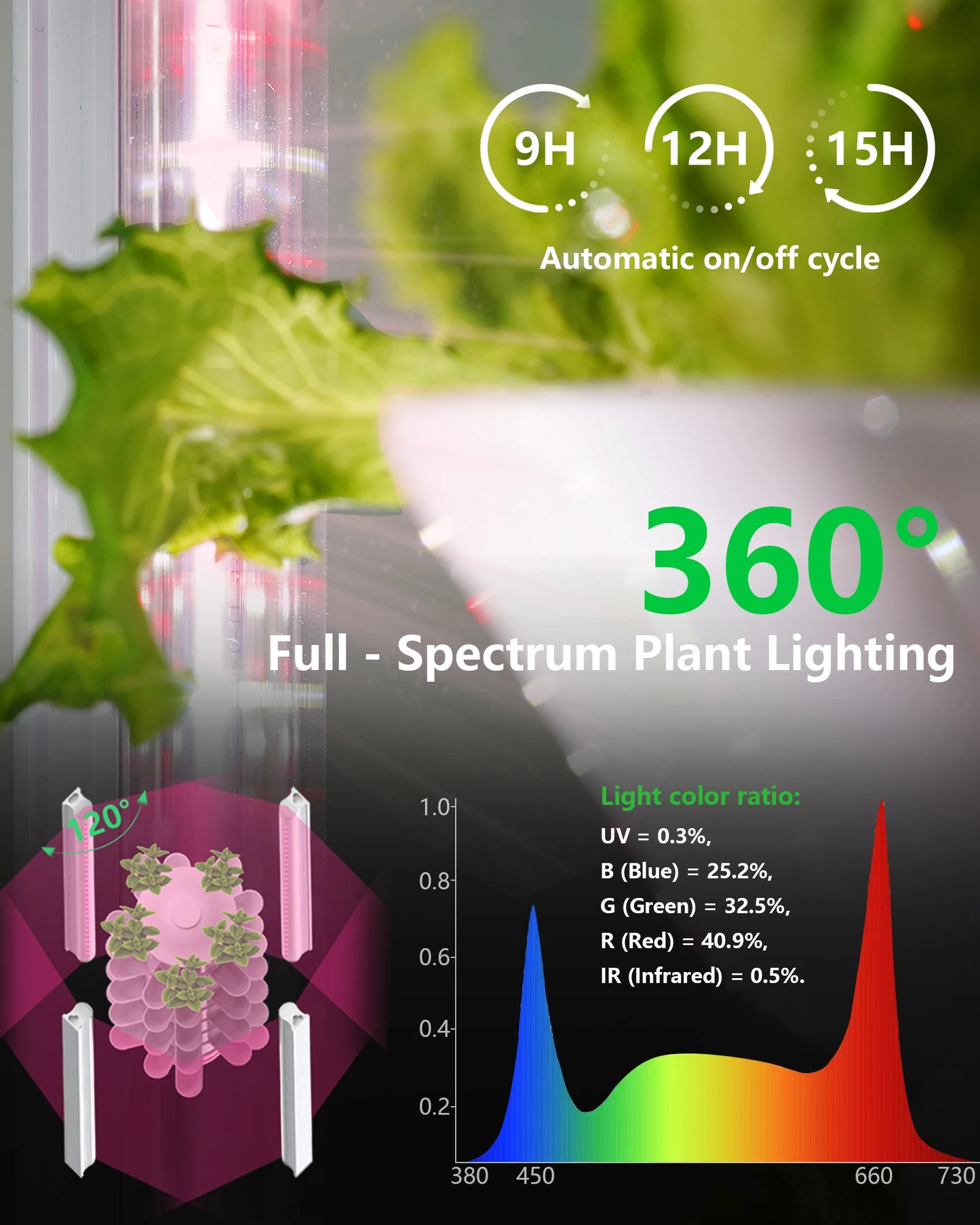 Hydroponics Growing System