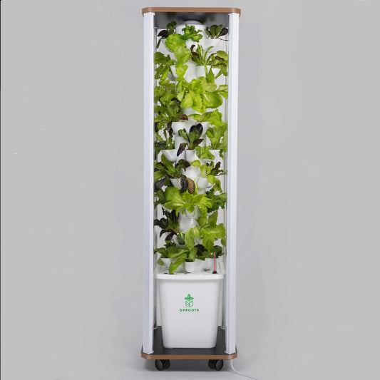 Hydroponics Growing System