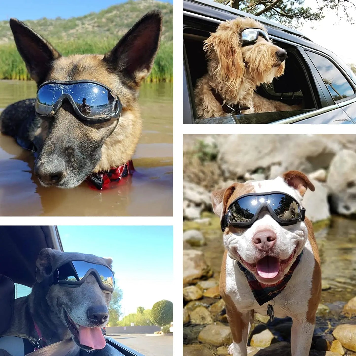 Dog Sunglasses / Goggles